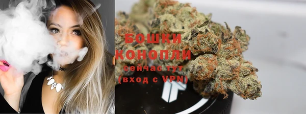 бошки Медногорск