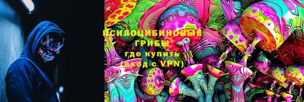 бошки Арсеньев
