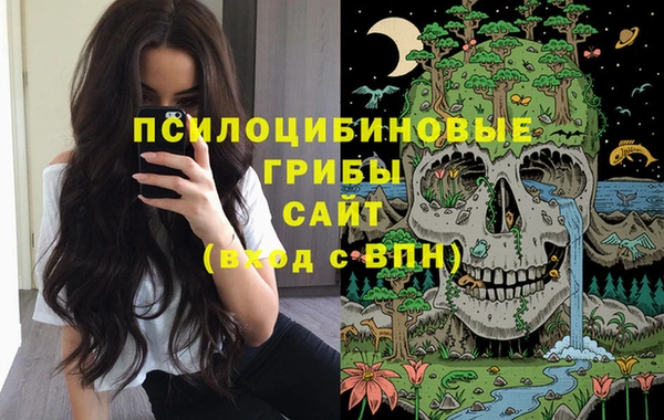 spice Аркадак