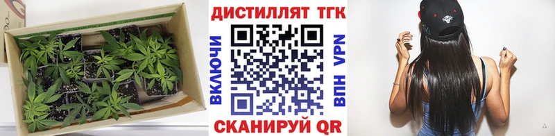 ТГК жижа  где купить наркоту  Шилка 